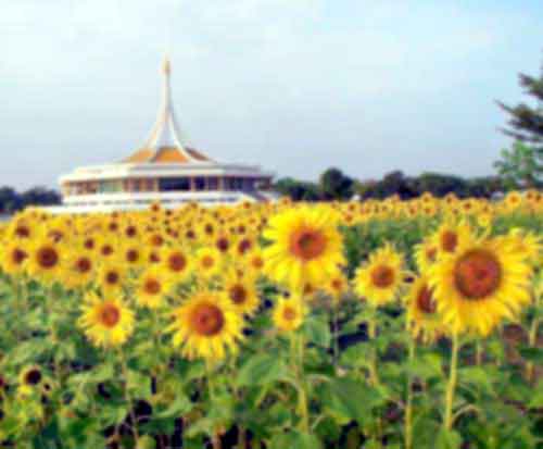 สถานที่ท่องเที่ยวที่มีผู้เข้าชมมากทีสุด