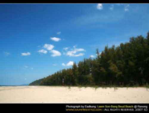 อุทยานแห่งชาติแหลมสน